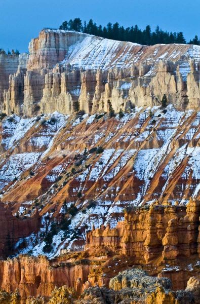 Utah Snowy hoodoo formations in Bryce Canyon NP
